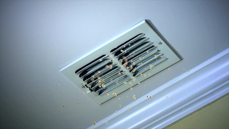 Best Air Duct Cleaning Company Near Me  in Ledbetter, KY
